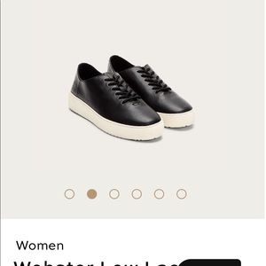 Frye Webster 7.5 NWT